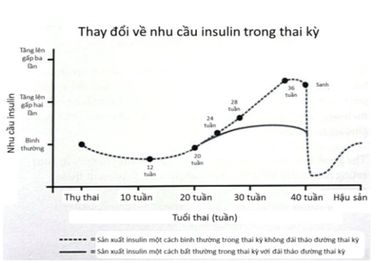 Đái tháo đường thai kỳ