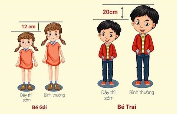 dậy thì sớm ảnh hưởng khả năng sinh sản